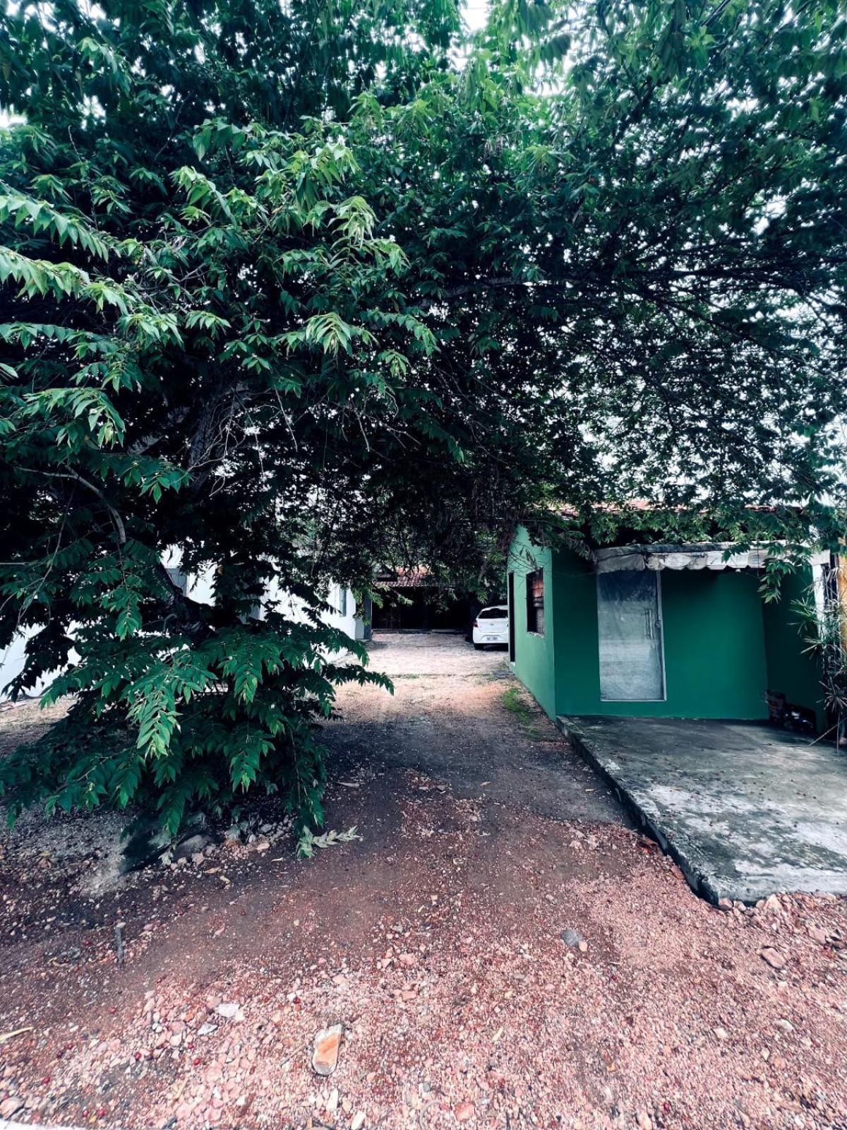 Casa Tamboril Daire São Jorge Dış mekan fotoğraf
